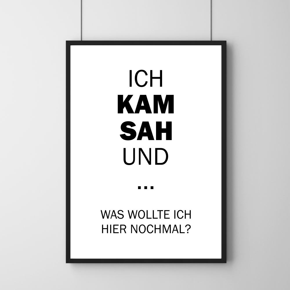 Poster - Ich kam sah und ... 30 x 40 cm
